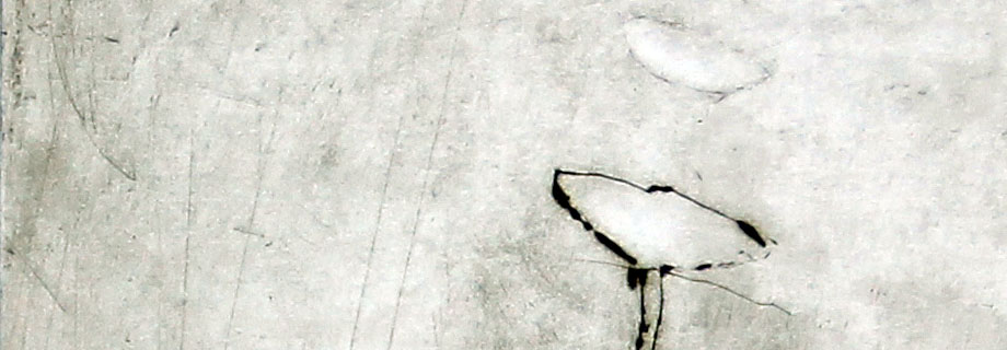 Helena Bergenrud  bergenrud.com  BLOMMAS BLOMMA  - UR BLOMMAS RESA (DETAL torrnålsgravyr, drypoint, kaltnadel radierung